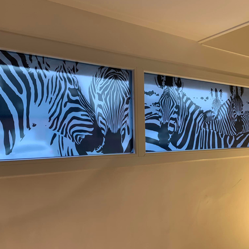 vitrophanie-animalier-lille 1