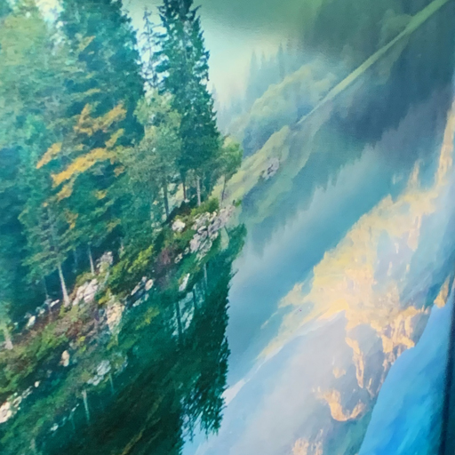 photo site rprint 219